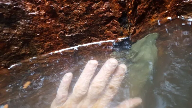 Seawall crack repair