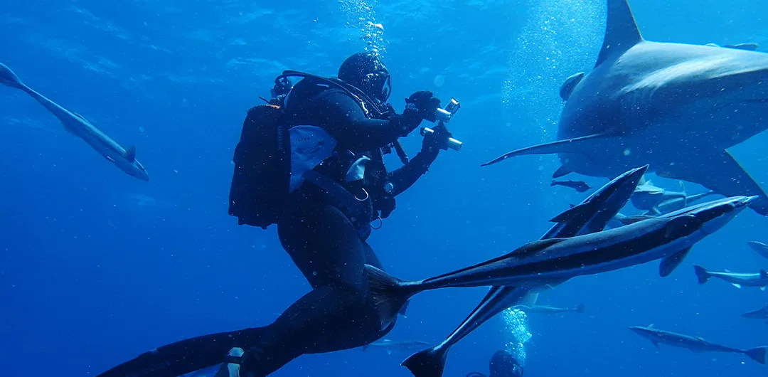 SharkSafe Barrier installation