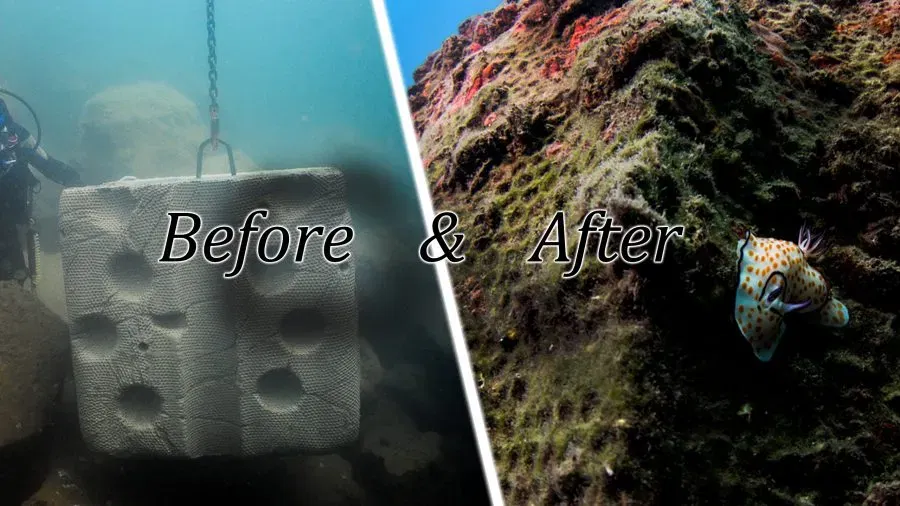 Youtube cover_Before_After_Armoring Units