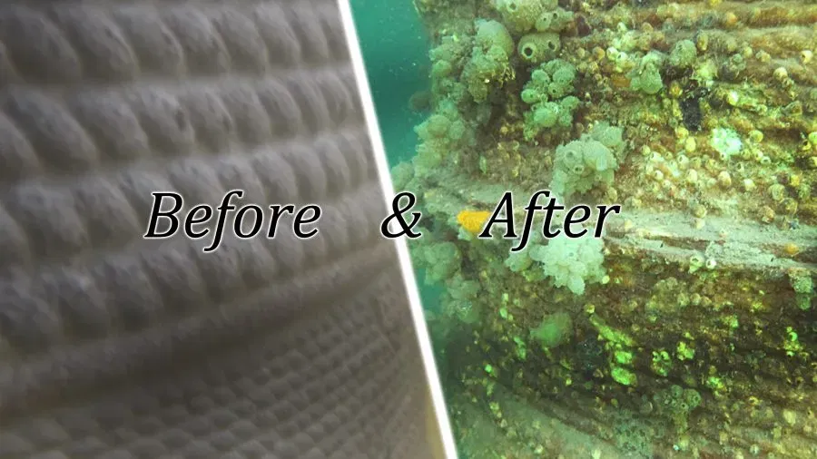 Youtube cover_Before_After_Pile