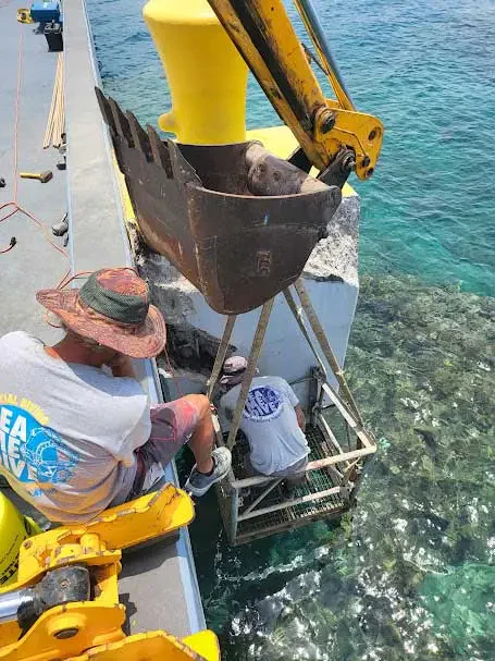 seawell work by sea me dive