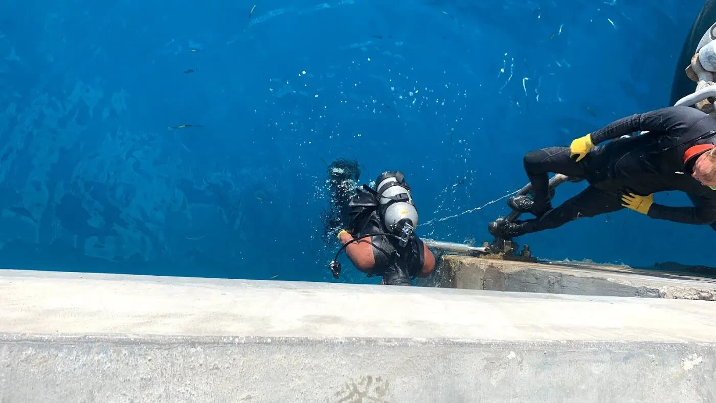 seawall inspection in south Florida