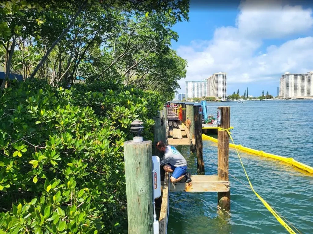 Eco Friendly Seawalls in Florida