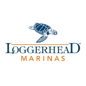 loggerhead-seamedive