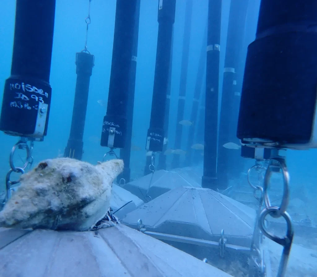 SharkSafe Barrier™ image