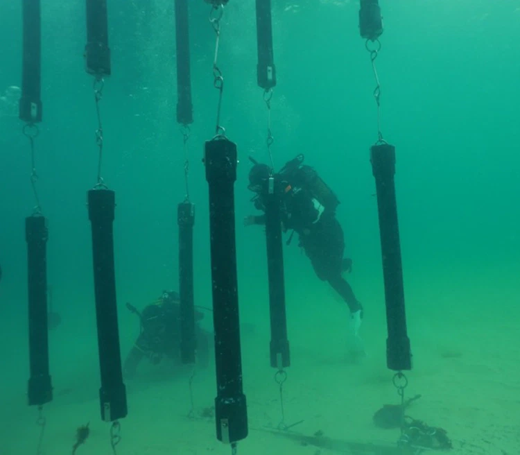 SharkSafe Barrier™ image