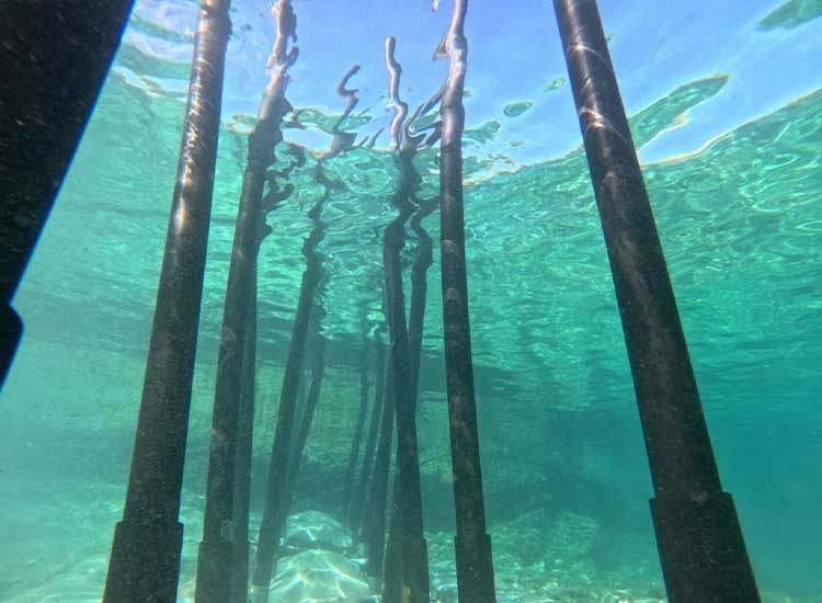Barrier view from ocean
