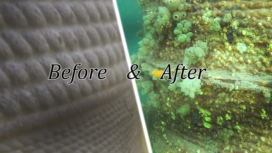 Youtube cover_Before_After_Pile