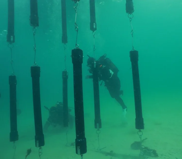 SharkSafe Barrier™ image