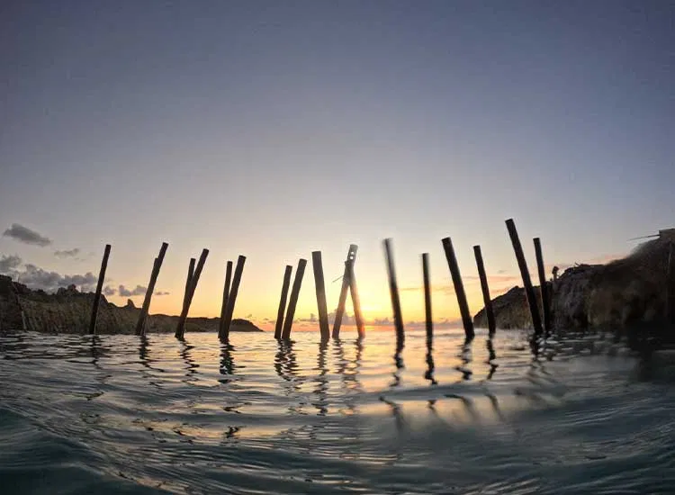 Protecting People and Marine Biodiversity with Sustainable Innovation