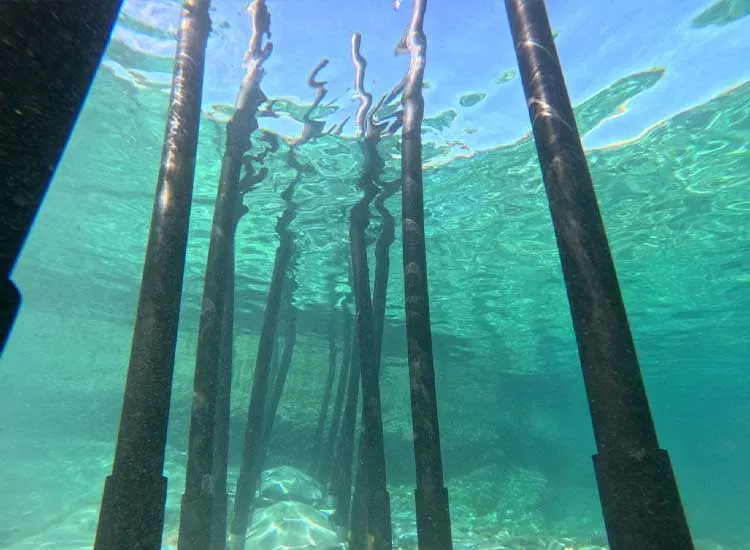 Barrier view from ocean