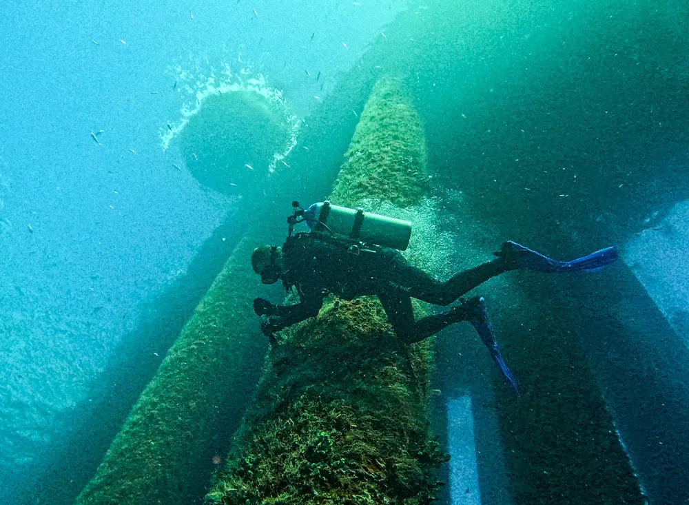 DIY Seawall Repair Vs. Professional Seawall Restoration: Best 5 Things You Need To Know