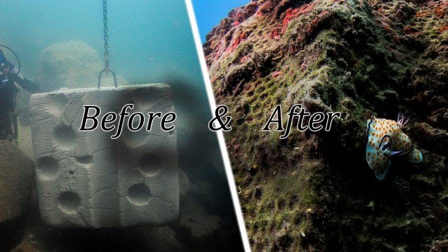 Youtube cover_Before_After_Armoring Units