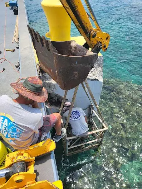 seawell work by sea me dive