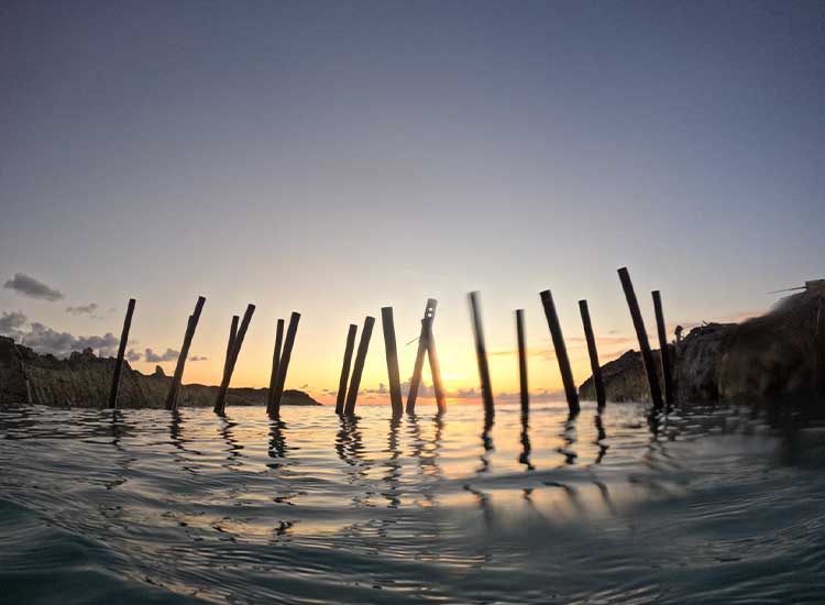 Barrier Sunset View